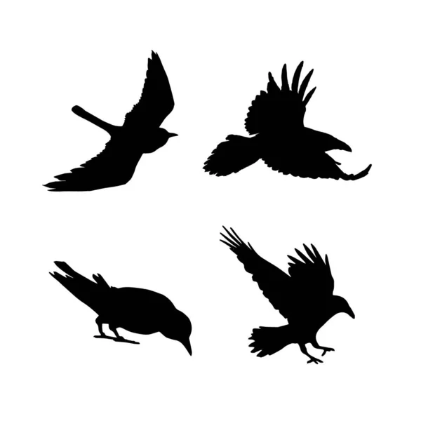 Silhouette Vectorielle Corbeaux Oiseaux Outlinesxa — Image vectorielle