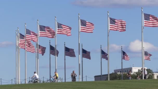 Amerikai Zászlók Nemzeti Plázában — Stock videók