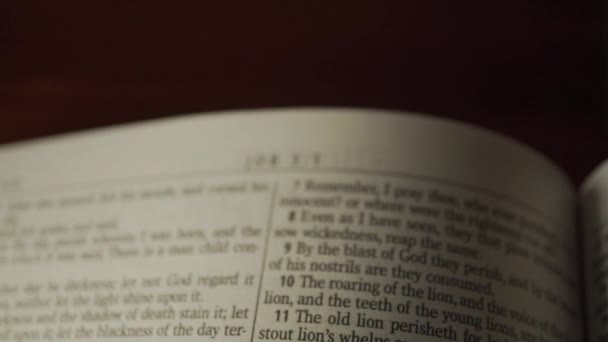 Mirando Hacia Abajo Libro Abierto Biblia Verso Favorito Biblia — Vídeo de stock