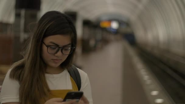 Woman Phone Metro Train Subway — Stock Video