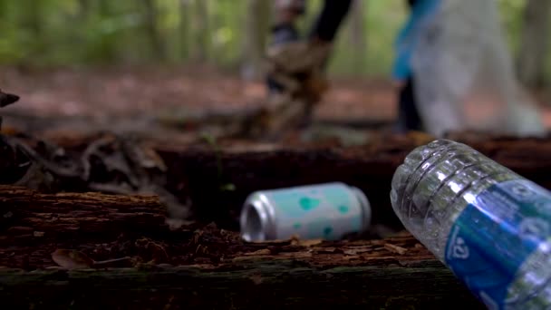 Manusia Hitam Mengambil Sampah Dengan Sarung Tangan Untuk Membersihkan Hutan — Stok Video