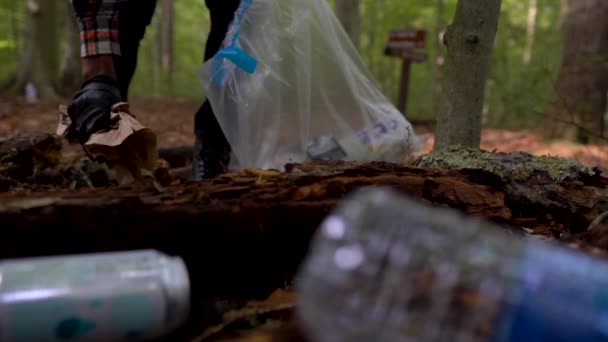 人类把垃圾捡起来清洁森林 环保的概念 优质Fullhd影片 — 图库视频影像