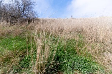 Nehir ve gölü olan güzel bir manzara.