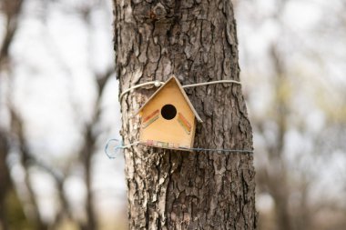 Bahçedeki kuş yemliği