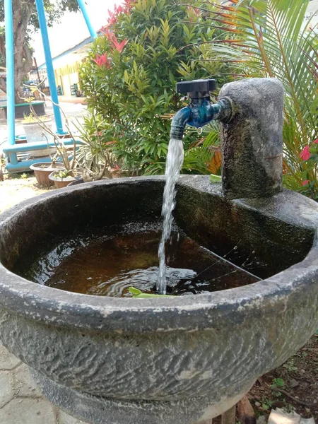 池の庭の植物の噴水は — ストック写真