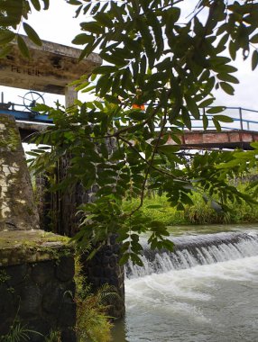 Parktaki güzel şelale