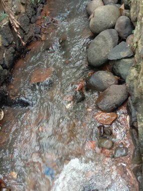 Ormanda güzel bir şelale