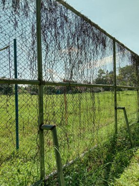 Yeşil çimenli tahta bir çitin dikey görüntüsü.