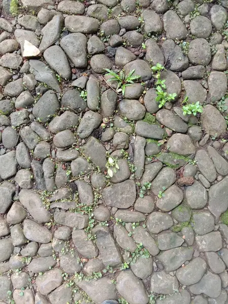 Фон Текстуры Каменного Тротуара — стоковое фото