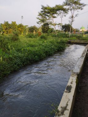 Nehir manzarası, İsrail 'in kuzeyindeki en kirli şehirlerin eyaleti.