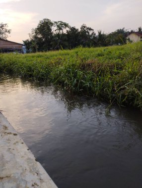 Nehir ve gölü olan güzel bir manzara.