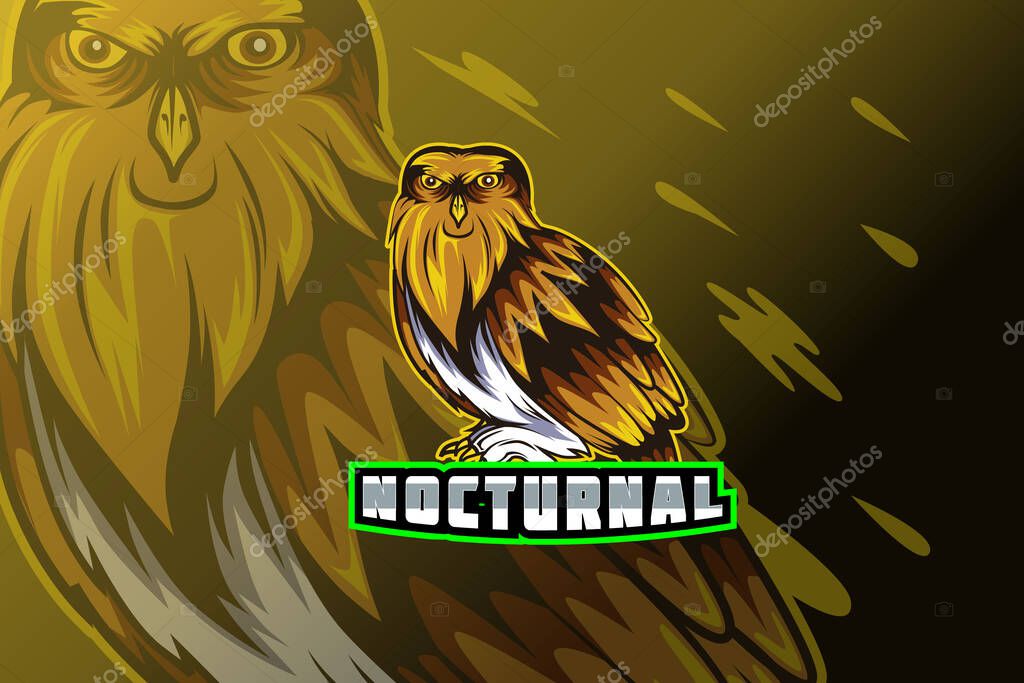Owl e sport logo design