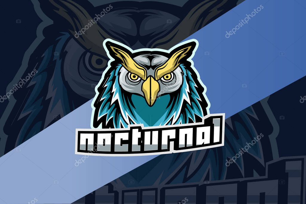 Owl e sport logo design