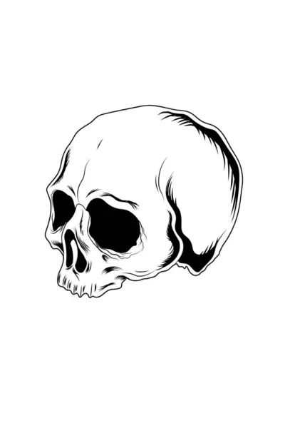 Skull Head Vector Illustration Hand Drawing — Stock Vector