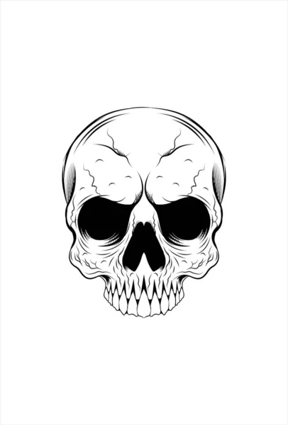 Illustration Vectorielle Crâne Dessin Main — Image vectorielle