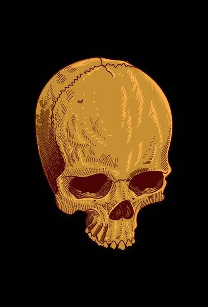Illustration Vectorielle Crâne — Image vectorielle