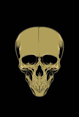 Baş kafatası çizim vektörü illüstrasyonu