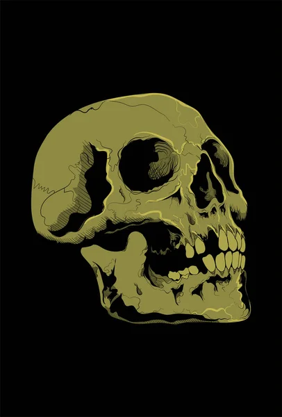 Illustration Vectorielle Crâne Dessin Main — Image vectorielle