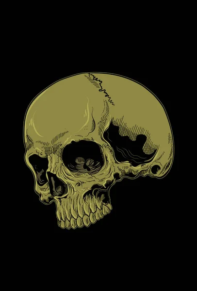 頭の頭蓋骨アートワークベクトルイラスト — ストックベクタ