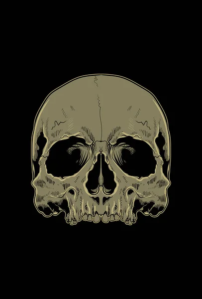 頭の頭蓋骨アートワークベクトルイラスト — ストックベクタ