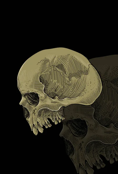 Head Skull Artwork Vector Illustration — Stock Vector