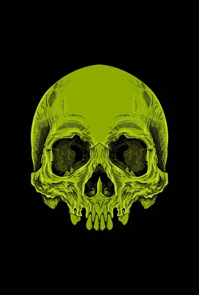 緑の色のアートワークイラストと頭蓋骨の頭 — ストックベクタ