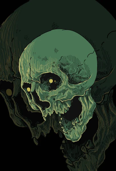 Capul Craniului Ilustrație Detaliată Lucrărilor Ochi — Vector de stoc