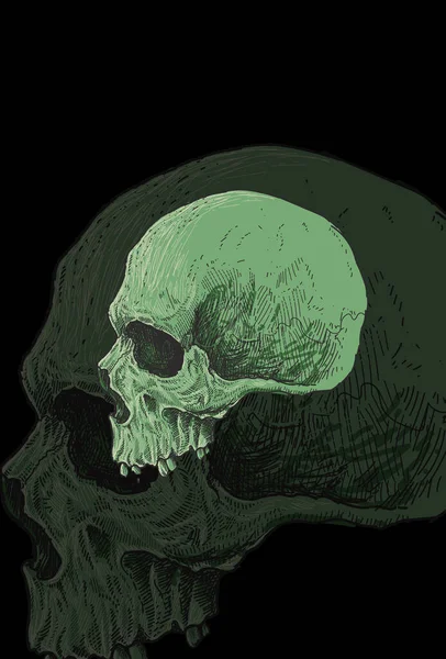 Skull Konstverk Detalj Illustration — Stock vektor