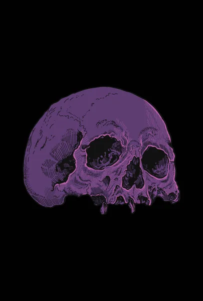 Arte Escura Crânio Morte Cabeça Arte Humana Ilustração — Vetor de Stock