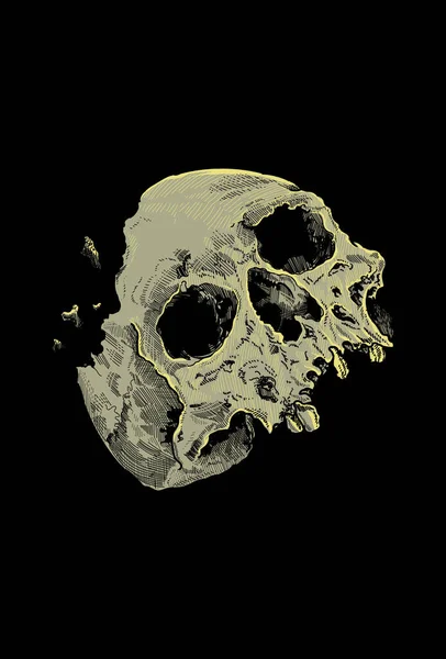 Dark Art Art Work Skull Death Head Human — Stock Vector