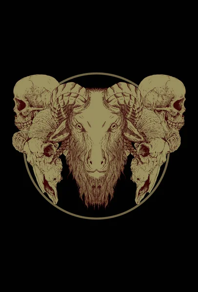 ヤギの頭蓋骨とヤギの頭蓋骨のイラスト — ストックベクタ