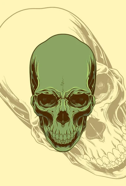 Illustrazione Del Cranio Della Testa Umana — Vettoriale Stock