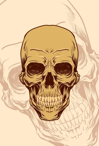 人間の頭の頭蓋骨のアートワークイラスト — ストックベクタ