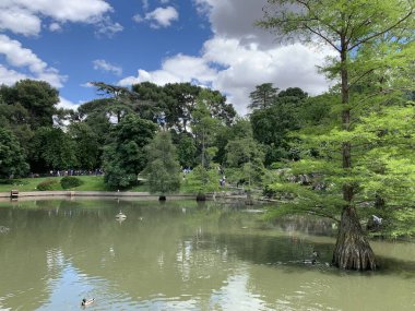 Parkın güzel manzarası