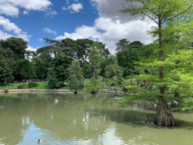 Parkın güzel manzarası