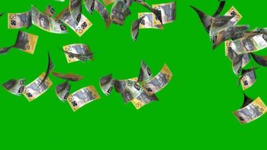 Para ödülü, ikramiye, şanslı, mutlu, başarılı.