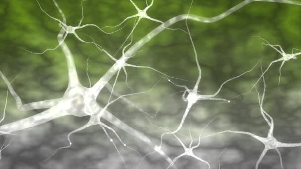 Нейроны Мозга Человека Нейробиология Разум Микро — стоковое видео
