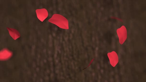 Rote Rosenblätter Blume Konzept — Stockvideo