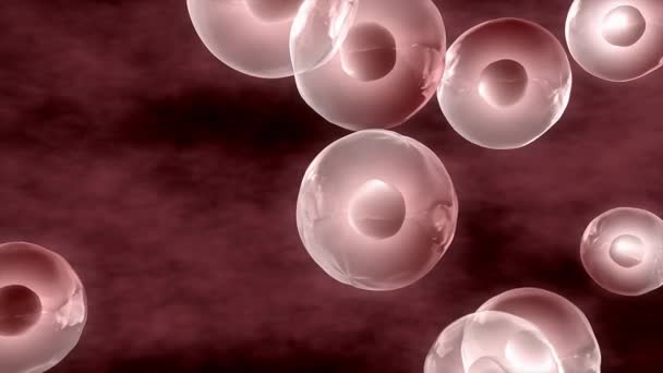 Menschliche Dna Zellen Nahaufnahme Klinisch Medizinisch Reserch — Stockvideo
