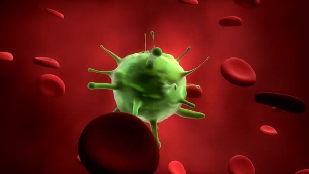 Infection Par Des Cellules Virales Dans Circulation Sanguine — Video