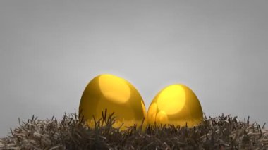 Altın yumurta ve yuva, konsept, değer, hayvan, fetüs, altın.