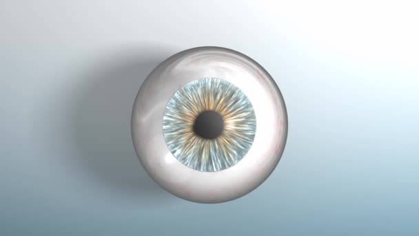 Human Eyeball Zoom Out Alpha Matte — Stock Video
