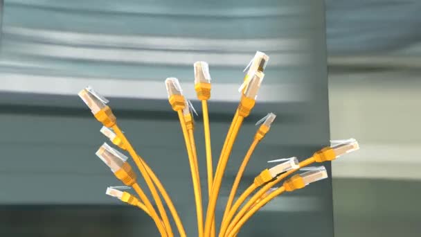 Cables Red Amarillos Con Alpa Mate — Vídeos de Stock