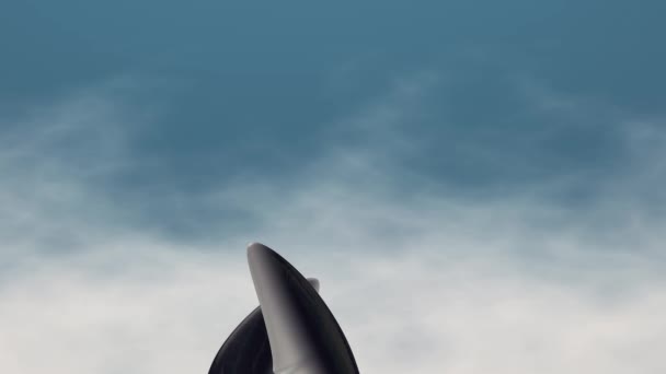 Płetwa Rekina Ryby Alfa Matowe — Wideo stockowe