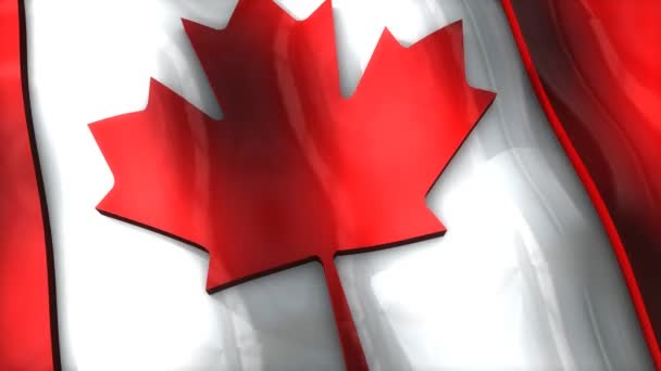 3Dフラグ カナダ 手を振って リップル — ストック動画
