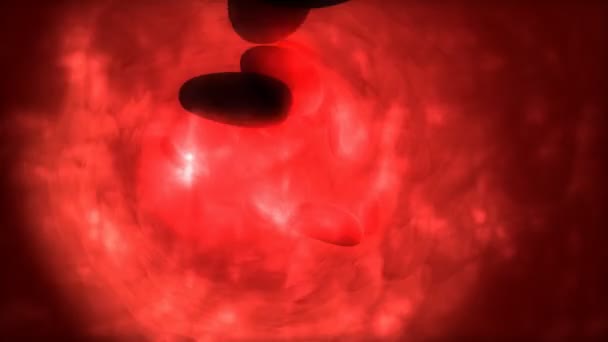 Generado Por Computadora Animación Médica Científica Células Sanguíneas Humanas — Vídeos de Stock