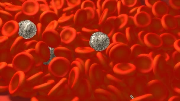 Computadora Generada Células Sanguíneas Ciencias Médicas — Vídeos de Stock