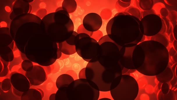 コンピューター 赤血球 医療科学 — ストック動画