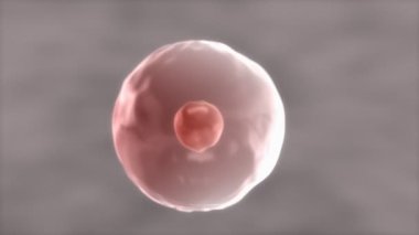 Bilgisayar üretildi, insan hücre kromozomu ve DNA 'sı kapanıyor..