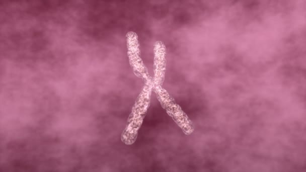 Komputer Generowane Artysta Renderowania Ludzkiego Chromosomu — Wideo stockowe